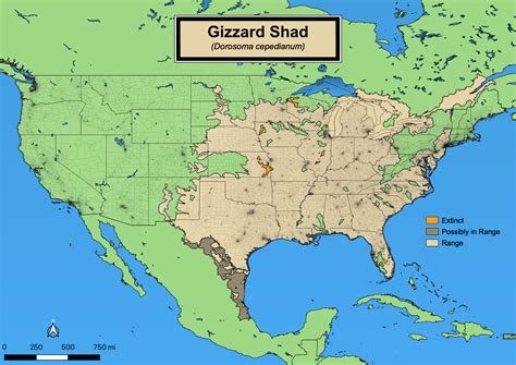 gizzard shad range.